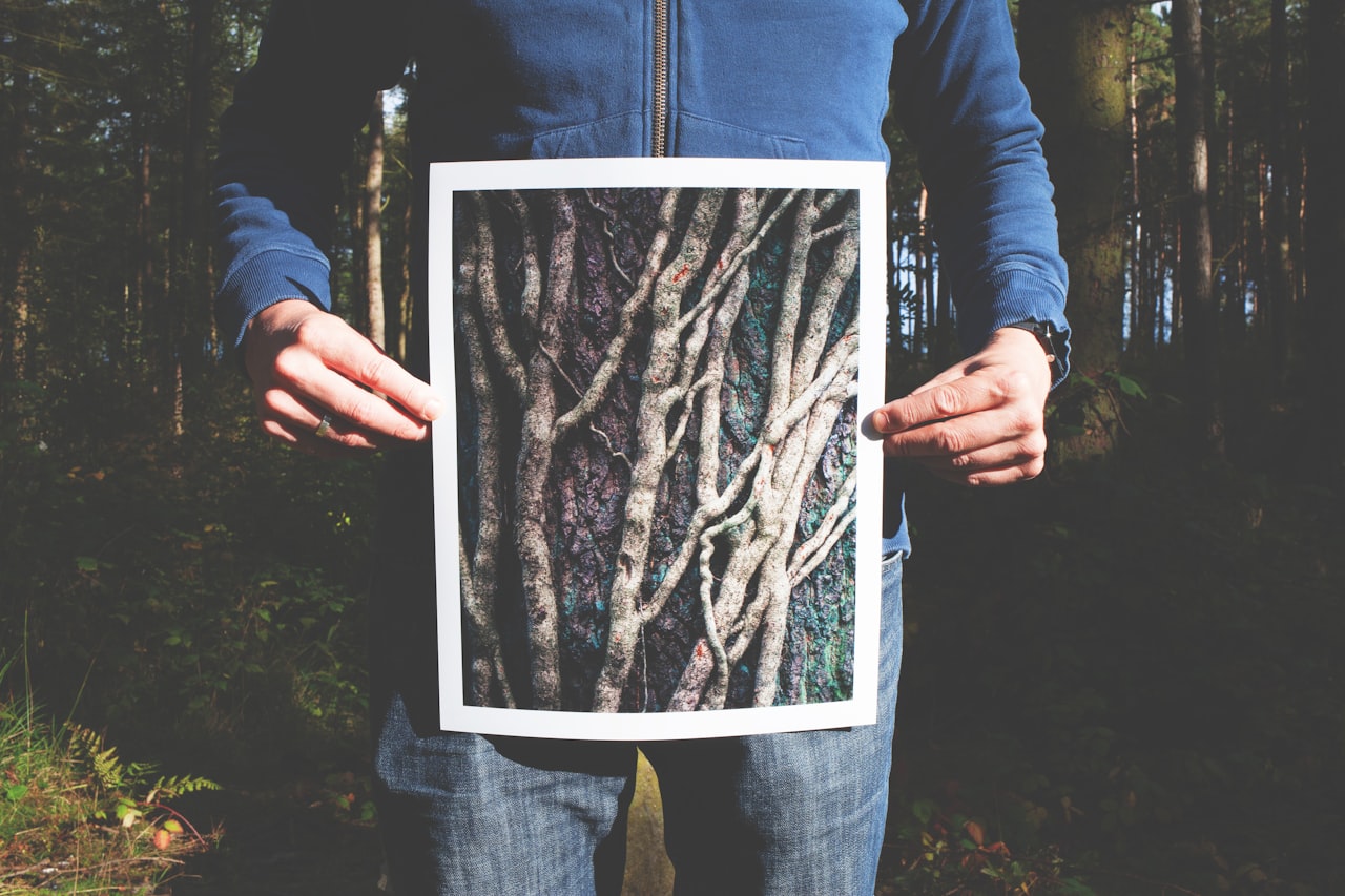 Osoba drží veľkú vytlačenú fotografiu – približne veľkosť A3